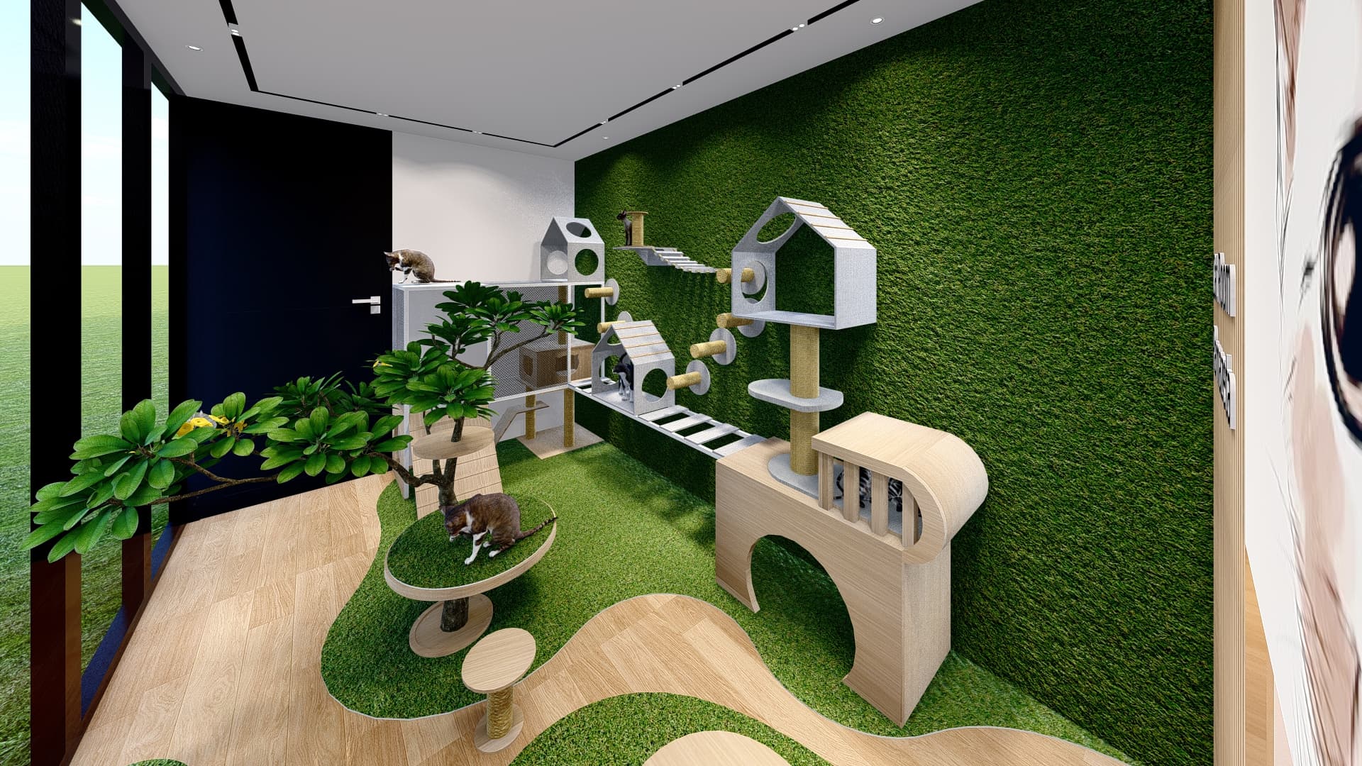 Cat Room · 1 ruang - foto 2